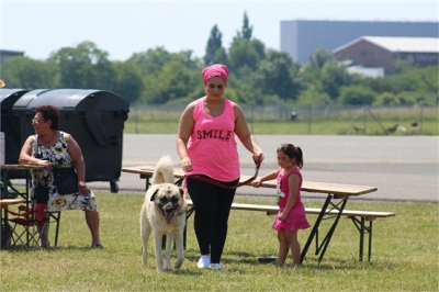 piknik_31