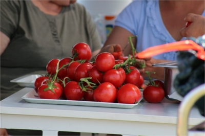 piknik_75